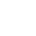 Envío Express Gratis